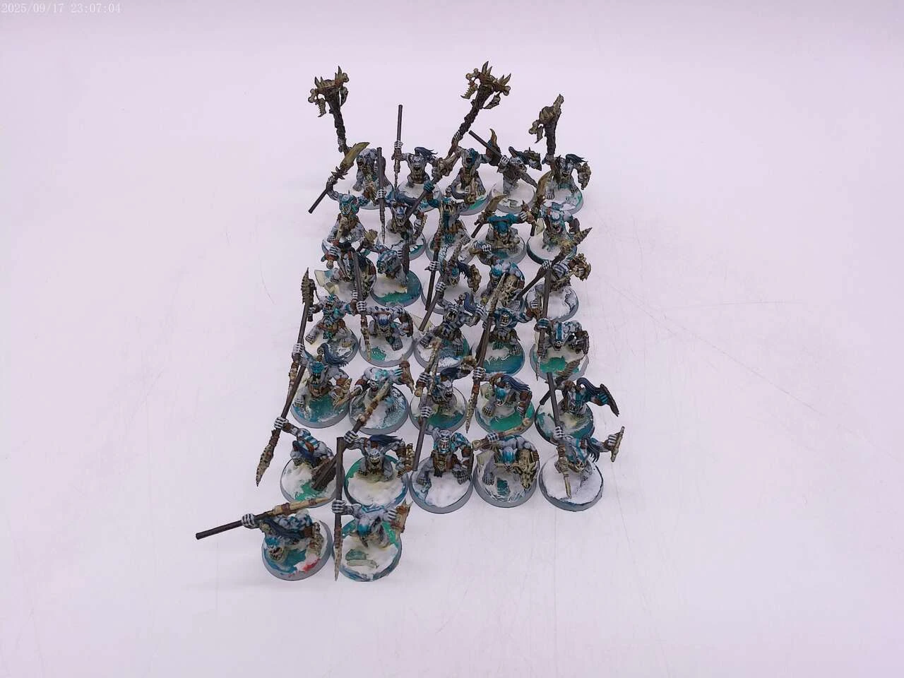 Painted Bonesplitterz Army (Icebone) with Rogue Idol!
