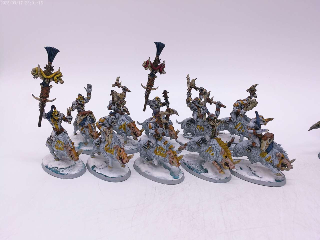 Painted Bonesplitterz Army (Icebone) with Rogue Idol!