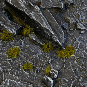 Gamers Grass: Tufts - Tiny Dark Moss (2mm) Gamers Grass: Tufts - Tiny Dark Moss (2mm)