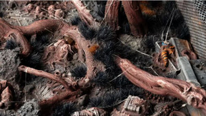 Gamers Grass: Tufts - Alien Void (6mm)