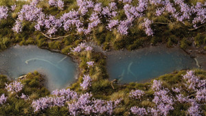 Gamers Grass: Lavender Flowers Gamers Grass: Lavender Flowers