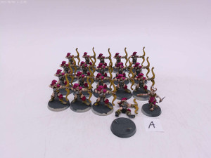 20 x Battlemaster Chaos Archers/Blissbarb Archers Proxy (painted,A) 20 x Battlemaster Chaos Archers/Blissbarb Archers Proxy (painted,A)