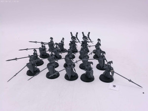 20 x Vanari Auralan Wardens (B)