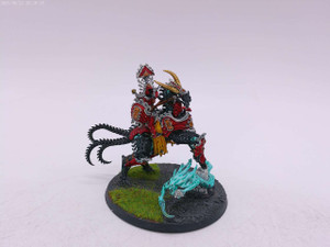 1 x  Liege Kavalos 1 x  Liege Kavalos