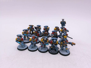 15 x Custom Space Wolves Primaris Marines (painted) 15 x Custom Space Wolves Primaris Marines (painted)