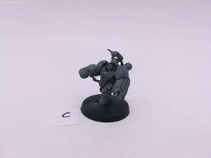 1 x Einhyr Champion (C)