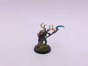 1 x Branchwych (painted)