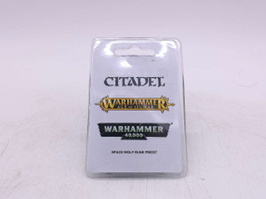 1 x Space Wolf Rune Priest (oop)