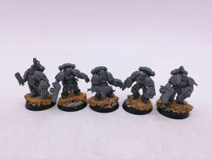 5 x Space Wolves (oop)