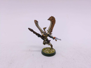 1 x Custom Swooping Hawk Hero