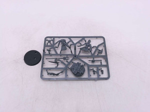 1 x Knight-Arcanum (NoS)