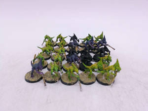 25 x Skinks