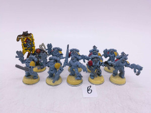 10 x Grey Hunters (B, oop)
