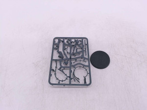 1 x High Gladiatrix (NoS)