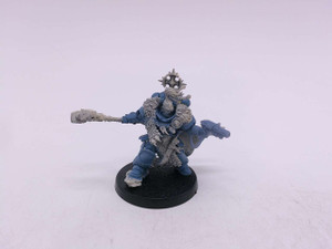 1 x Custom Wolf Guard Battle Leader