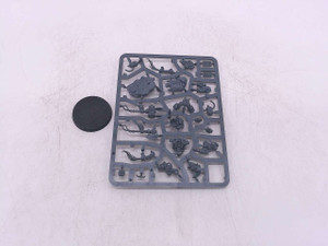 1 x Einhyr Champion (NoS)