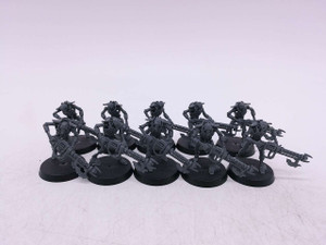10 x Necron Warriors