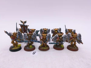 10 x Sanguinary Guard (oop,painted, B)