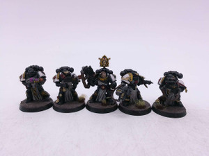 5 x Sternguard Veterans (oop)