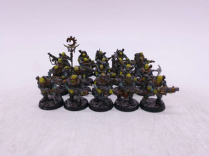 20 x Neophyte Hybrids