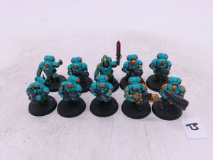 10 x Hearthkyn Warriors (painted,B)