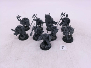 9 x Chaos Warriors (C)