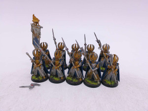 10 x Phoenix Guard