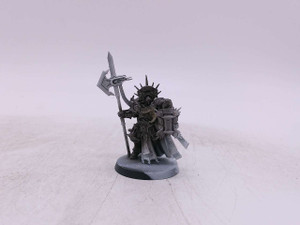 1 x Lord-Castellant (oop)