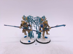 2 x Morghast Archai (painted,C)