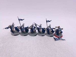6 x Knights Of Dol Amroth™