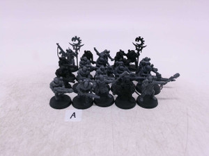 20 x Neophyte Hybrids