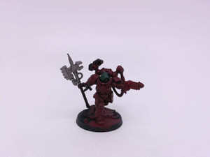 1 x Techmarine (custom head)