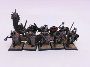 10 x Chaos Warriors (oop)