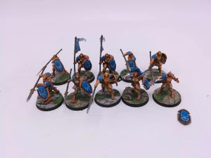 10 x Vindictors