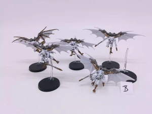 5 x Pteraxii Sterylizors (B)