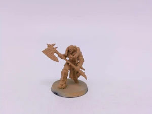 1 x Slaughterpriest (tan)