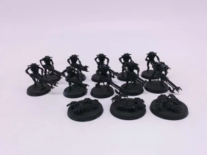 10 x Necron Warriors