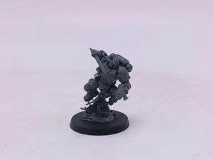 1 x Lieutenant in Reiver Armour
