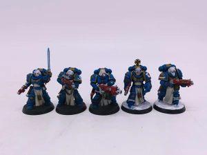 5 x Sternguard Veteran Squad (painted)