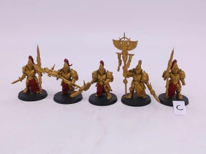 5 x Custodian Wardens (C)