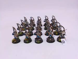 20 x Vanari Auralan Sentinels (A,painted)