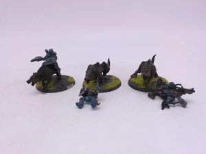 3 x Thunderwolf Cavalry