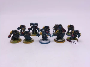 10 x Space Wolves Terminators (A,oop)