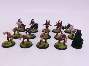 15 x Vampire Blood Bowl Team: The Drakfang Thirsters