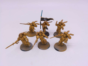6 x Sanguinary Guard