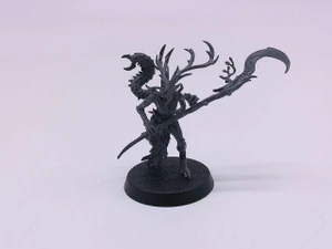 1 x Branchwych (unpainted)