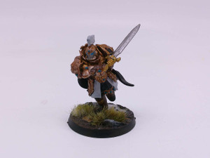 1 x Blade Champion (1 sword)