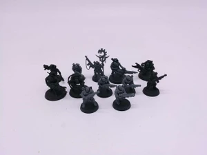 12 x Neophyte Hybrids