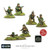 Bolt Action: Waffen-SS (1943-45) Weapons Teams