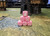 10 x Warpfire D6 Pink / White Dice